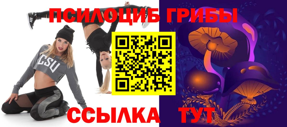 Галлюциногенные грибы Psilocybe Рыбинск