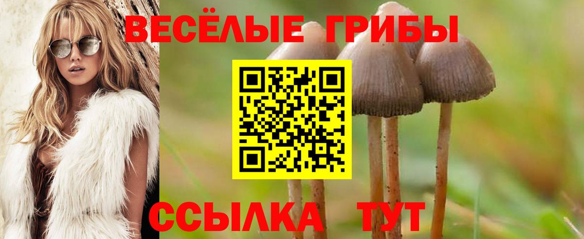 Псилоцибиновые грибы Magic Shrooms  Вход с VPN  Галлюциногенные грибы ЛСД  Рыбинск 